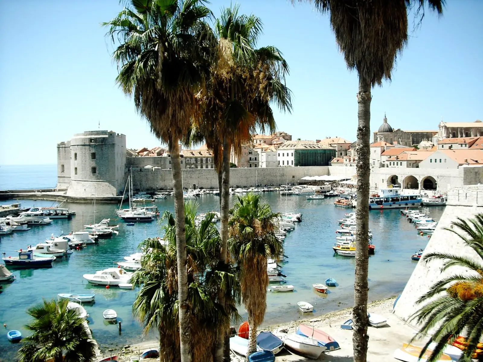 Palm trees frame a harbor filled with small boats in front of historic stone fortifications and buildings. The photographer titled it “Palm trees in Dubrovnik”.