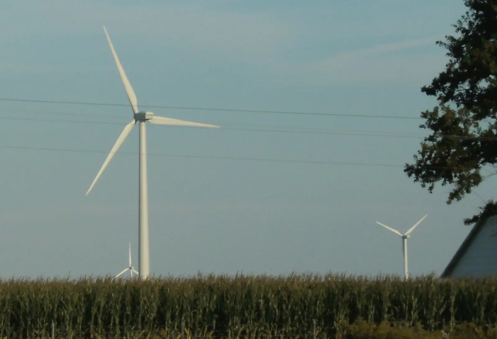 Wind turbines stand in a field, with a tree and the edge of a building visible on the right side of the frame.